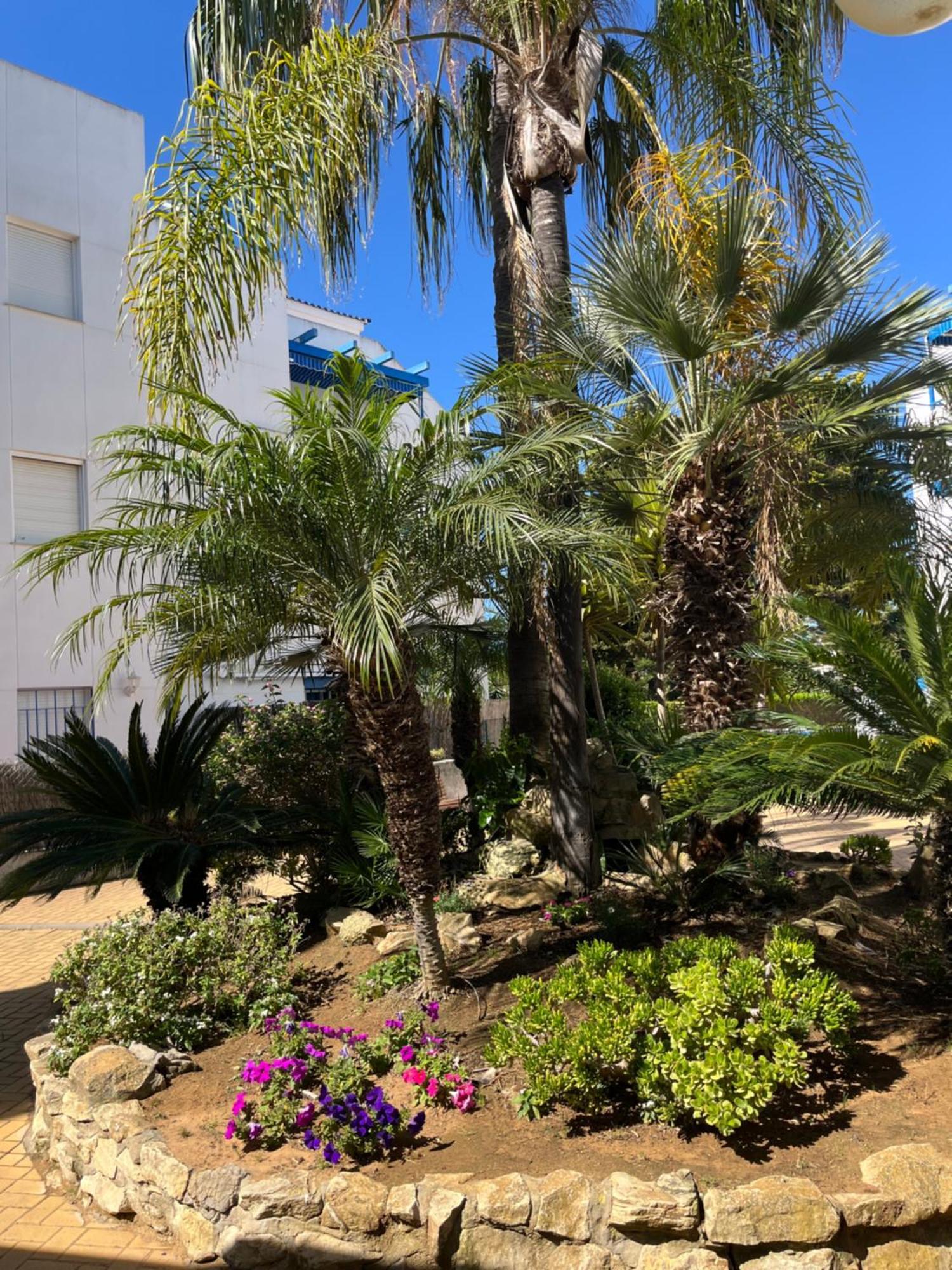 Apartamento En Costa Ballena, Urb. Playa Ballena 카디스 외부 사진